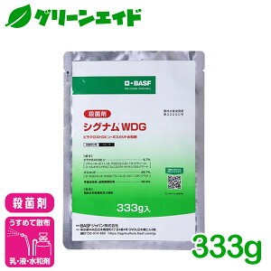 Eۍ VOiWDG 333g BASFWp DFѕa ǂ񂱕a _a  g}g ^X aQ _ _