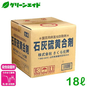 _{܂ŁISi|Cg10{Ly[{I^EEۍ ΊD 18L 牻 Eۍ E ʎ z~Q aQh