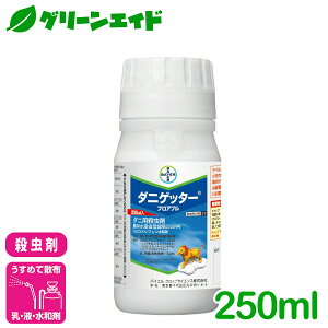 _11/20()20JnI撅ő10%OFFN[|sI^E _jQb^[tAu 250ml oCGNbvTCGX n_j Tr_j `mzR_j  Ȃ 񂫂 Q