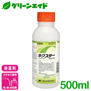 Eۍ lNX^[tAu 500ml Yw ۊja a ͕a Lxc ^X _ _