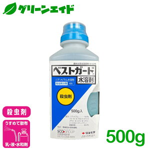 E xXgK[hn 500g ZFw AuV AU~E} RiW~   Ȃ Q _ _