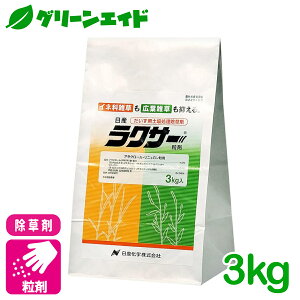  NT[ 3kg Yw NG ClȎG LtG  ܂ ΂ꂢ  _ p