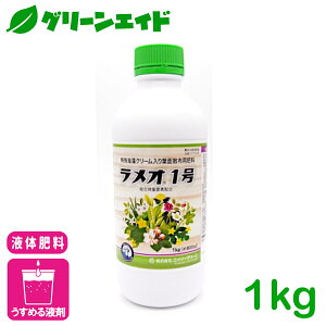 t̔엿 I1 1KG jb\[O[ ʎ ʎ  瑝i ʐ Fi 