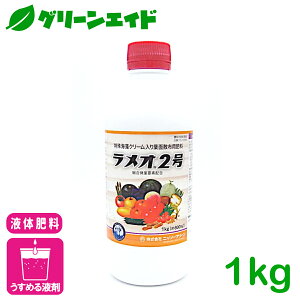 t̔엿 I2 1KG jb\[O[ ʎ ʎ  ʎ dxi Fxi 