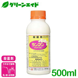 _11/4()20JnI撅7%OFFN[|sI^Eۍ }tAu 500ml ΌY ׂƕa ua a イ Ⴊ ^X aQ _ _