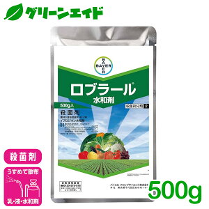 _ԌIwzɉĎgő1200~OFFN[|sI^Eۍ u[a 500g oCGNbvTCGX DFѕa ۊja ͕a イ Ȃ  aQ _