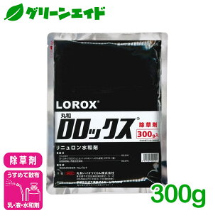  bNXa 300g ۘaoCIP~J GO Xxq m~mtX} 񂰂܂  Ƃ낱 G _ _
