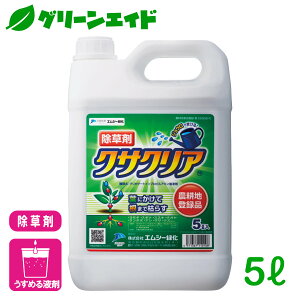   NTNA 5L GV[Ή ƒ؉ | K[fjO SҌ rMi[