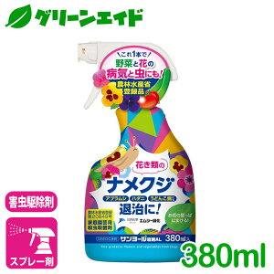 _11/20()20JnI撅ő10%OFFN[|sI^iNW E iNWXv[ 380ML GV[Ή ƒ؉ | K[fjO SҌ rMi[ Z[