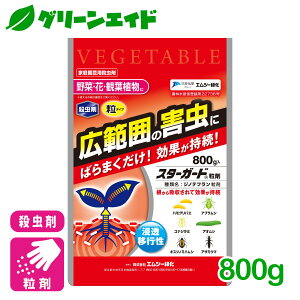 _ԌIwzɉĎgő1200~OFFN[|sI^ E X^[K[h 800g GV[Ή ƒ؉ | K[fjO SҌ rMi[