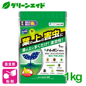 _2ԌIwzɉĎgő1200~OFFN[|sI^ E g{DL 1kg GV[Ή ƒ؉ | K[fjO SҌ rMi[