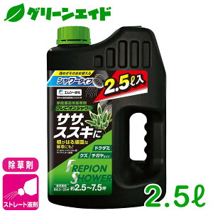  tsIV[ 2.5L GV[Ή     󂫒n st SҌ rMi[