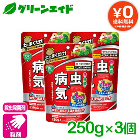 まとめ買い 3袋セット 殺虫剤 殺菌剤 ベニカXガード粒剤 250g×3袋 住友化学園芸 粒剤 病気 虫 ガーデニング 園芸 ビギナー向け 初心者向け