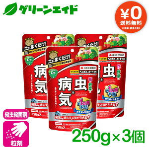 _{ISi|Cg5{Ly[{I^܂Ƃߔ 3܃Zbg E Eۍ xjJXK[h 250g×3 ZFw|  aC  K[fjO | rMi[ SҌ