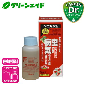 _JÁISi|Cg3{Ly[{\I^E Eۍ xjJX 30ml ZFw| aC  K[fjO | AuV ǂ񂱕a
