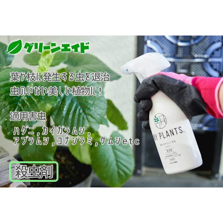 楽天市場 観葉植物 殺虫剤 My Plants 虫からやさしく守るミスト 250ml 住友化学園芸 ハダニ カイガラムシ アブラムシ 園芸 ガーデニング 初心者向け ビギナー向け グリーンエイド