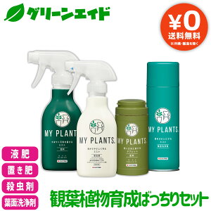 yz4_Zbg MY PLANTS E 엿 tʐ ϗtA琬΂Zbg ZFw| ϗtA | K[fjO rMi[ S 