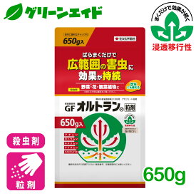 殺虫剤 オルトラン粒剤 650g 住友化学園芸 定番 野菜 草花 家庭菜園 園芸 ガーデニング