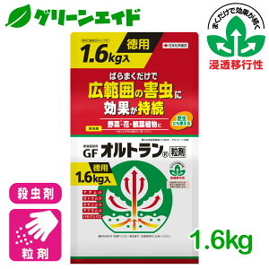 E Ig 1.6kg ZFw|    ƒ؉ | K[fjO