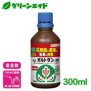 E Igt 300ml ZFw| K[fjO |   AuV Z[