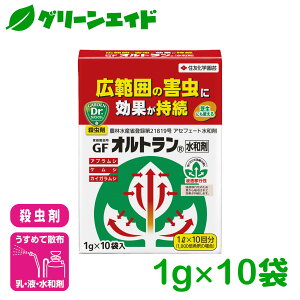 _J!܂Ƃߔōő10%OFFN[|s!^E Iga 1g×10ܓ ZFw|  ʎ ƒ؉ | ʕ K[fjO