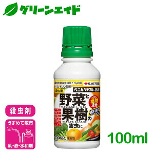 E  ʎ xjJxWt 100ml ZFw|  | ʕ ƒ؉ Q