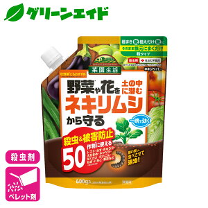 _2ԌIwzɉĎgő1200~OFFN[|sI^lLV E lLxCg 600g ZFw|  ƒ뉀| | Q