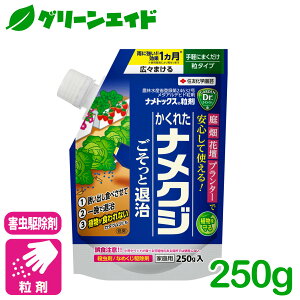 _JÁI撅5%OFFN[|sI^iNW E igbNX 250G ZFw| J^c Q 쏜  | K[fjO  n[u ϗtA  Z[