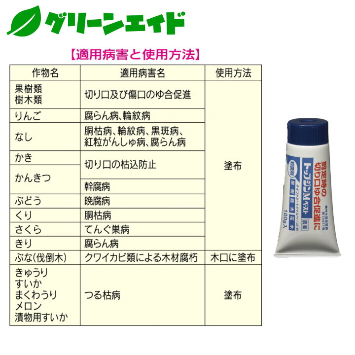 楽天市場】殺菌剤 トップジンMペースト 100g 住友化学園芸 果樹 果物 家庭菜園 園芸 ガーデニング : グリーンエイド 楽天市場】殺菌剤 トップジンMペースト 100g 住友化学園芸 果樹 果物 家庭菜園 園芸 ガーデニング : グリーンエイド
