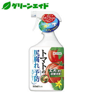 g}g K g}g̐K\hXv[ 950ml ZFw| ƒ؉ | 엿 t̔엿 \h