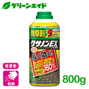 _ԌIwzɉĎgő1200~OFFN[|sI^ NTmEX 800g ZFw| G Βn   Z[