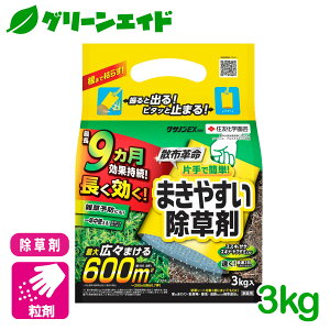  NTmEX 3kg ZFw| G Βn  
