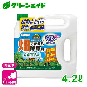   O[XLbgV[ 4.2L ZFw| G  ƒ؉ | K[fjO Z[