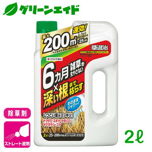 _ԌIwzɉĎgő1200~OFFN[|sI^ ގKOV[ 2L ZFw| G Βn   Z[