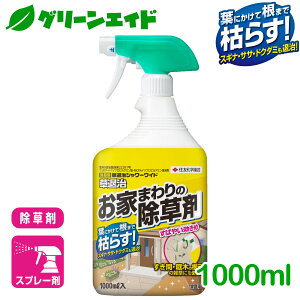 _JÁISi|Cg3{Ly[{\I^ ގV[Ch 1000ml ZFw| G Βn   Z[