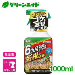 _ԌIwzɉĎgő1200~OFFN[|sI^ ގKOV[ 1000ml ZFw| G Βn   Z[