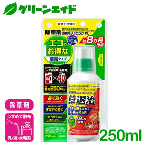  ގKOFL 250ML ZFw| XMi hN_~ XXL TT [jSP G Βn   Z[