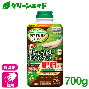  엿 }C^[tVoj[hO[ 700G ZFw| Ő   엿 G\h