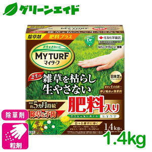  엿 }C^[tVoj[hO[ 1.4KG ZFw| Ő   엿 G\h