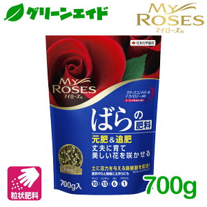 _JÁI撅5%OFFN[|sI^o@엿 }C[Y ΂̔엿 700g ZFw|  K[fjO |  ǔ