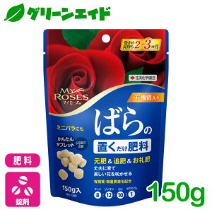 o@엿 }C[Y ΂̒u엿 150g ZFw|  K[fjO |  ǔ