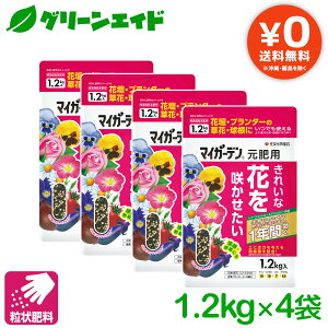 yz ܂Ƃߔ 4܃Zbg 엿  }CK[f p 1.2KG ZFw|  K[fjO | rMi[ SҌ