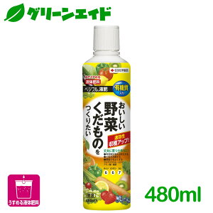 _JÁI撅5%OFFN[|sI^t̔엿  ʕ xWtt 480ml ZFw| ƒ؉ | 엿 