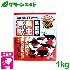  VRfޖ؃^[ QbQ 1kg AO̊ VR RR CmVV VJ O Jf nNrV wr lY~  ؉ | K[fjO