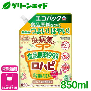 _JÁI撅5%OFFN[|sI^EEۍ ns@GRpbN 850ML A[X  aC  ʎ  ϗtA | SҌ rMi[