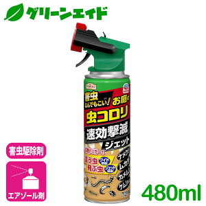 _JÁI撅5%OFFN[|sI^Q쏜 E nCp[̒RŃWFbg 480ML A[X ގ \h Xv[  | K[fjO Jf n` JV P