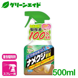 _{I܂Ƃߔōő10%OFFN[|s!^iNW E iNWŃXv[^Cv 500ml A[X 쏜 ގ Xv[   SҌ rMi[ Z[