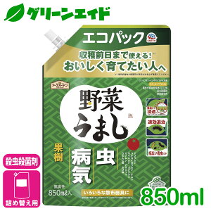 _{Iw_ɉĎgő10%OFFN[|sI^EEۍ ؂܂ GRpbN 850ML A[X  aC  ƒ؉  ϗtA | SҌ rMi[