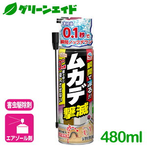 _{I܂Ƃߔōő10%OFFN[|s!^Jf E Jf 480ml A[X 쏜 ގ \h   SҌ rMi[ Z[