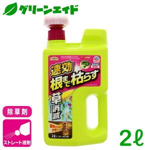 _2ԌI܂Ƃߔōő10%OFFN[|s!^ A[X 2L A[X _knp G ƒ؉ | K[fjO SҌ rMi[ Z[